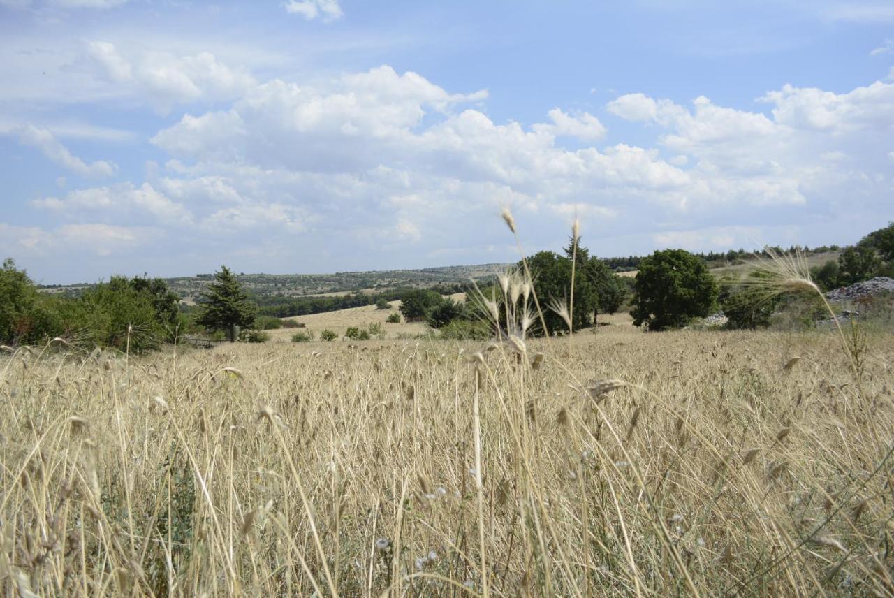 Agriturismo Poggio Ferrata Ruvo di Puglia Εξωτερικό φωτογραφία